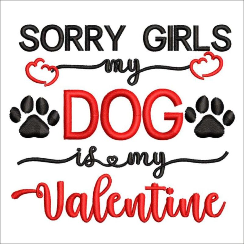 Sorry Girls my Dog is my Valentine
