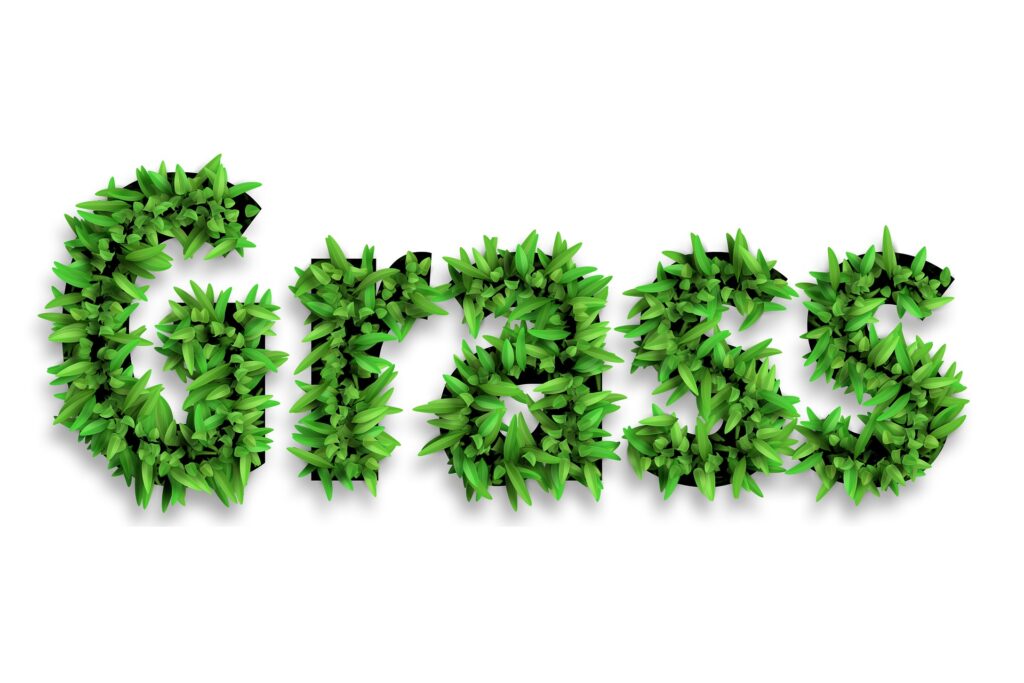 Embroidery font Designs